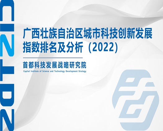 男人肏逼网【成果发布】广西壮族自治区城市科技创新发展指数排名及分析（2022）